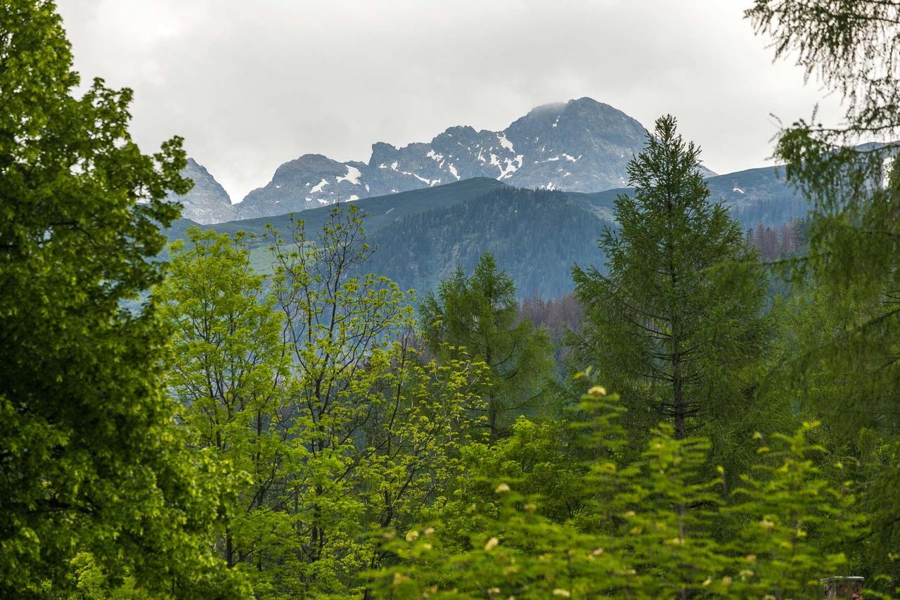 Rent Like Home - Bulwary III Zakopane Esterno foto